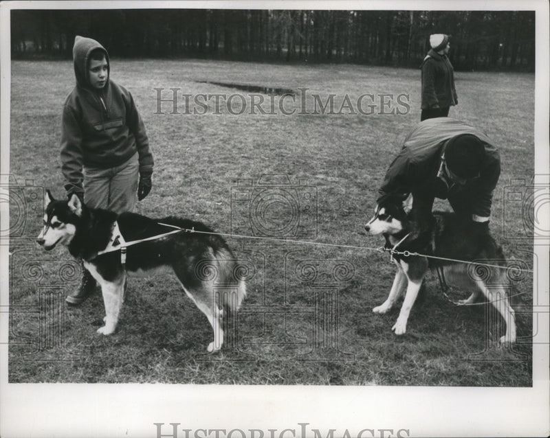 Load image into Gallery viewer, 1965 Press Photo Jeffery Clark with "Furlin" Who is Lead Dog in Team - nef53622

