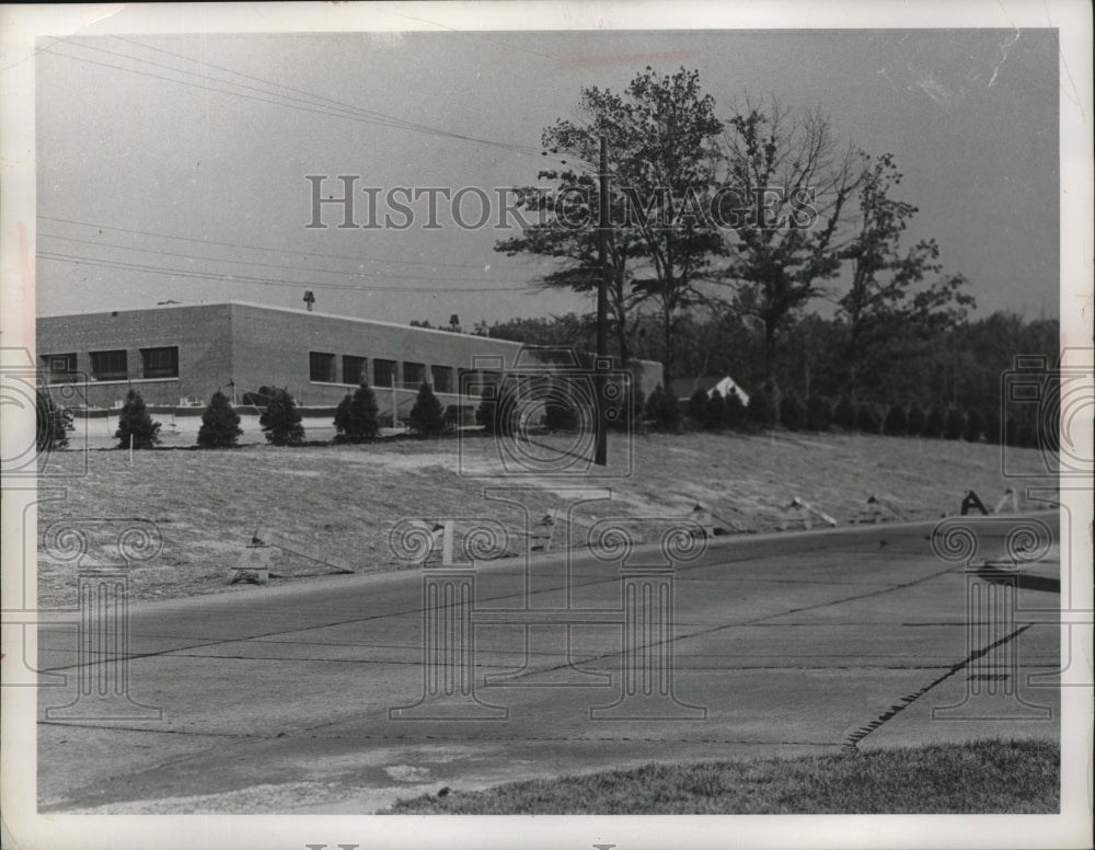1964 Press Photo Trees along Powers Blvd in Parma - nef53713