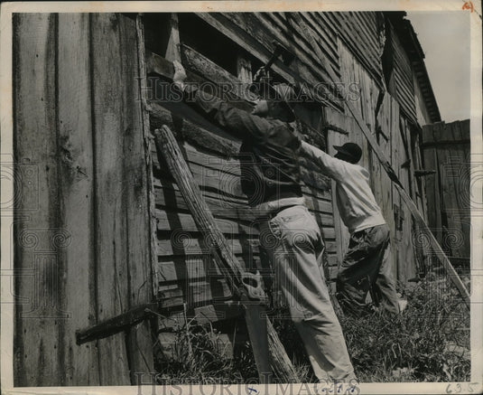 1945 Press Photo Farmers Reinforce Abandoned Barn for Wheat Storage - nef53765