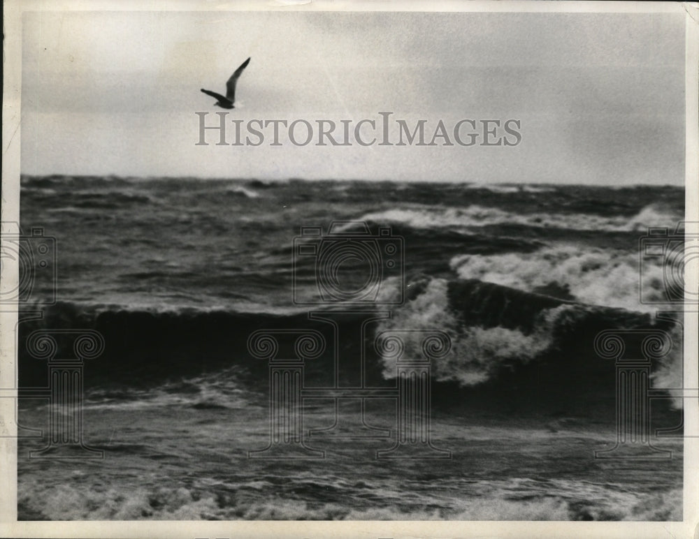 1970 Press Photo Beachview Road, Willoughby - nef53774
