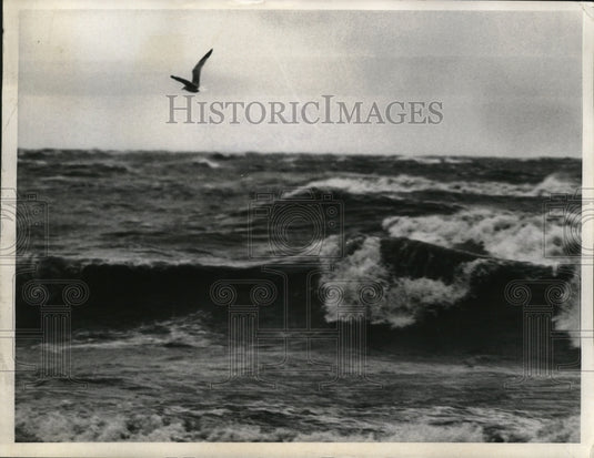 1970 Press Photo Beachview Road, Willoughby - nef53774