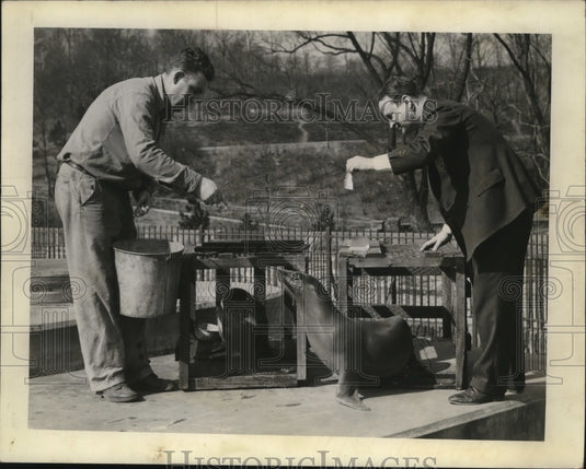 1942 Press Photo Seal Fed by Henry Buckner, Fletcher A. Reynold - nef53941