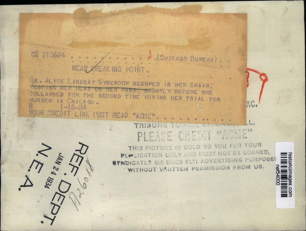 1934 Press Photo Dr. Alice Wynekoop During Chicago Murder Trial - nef54000