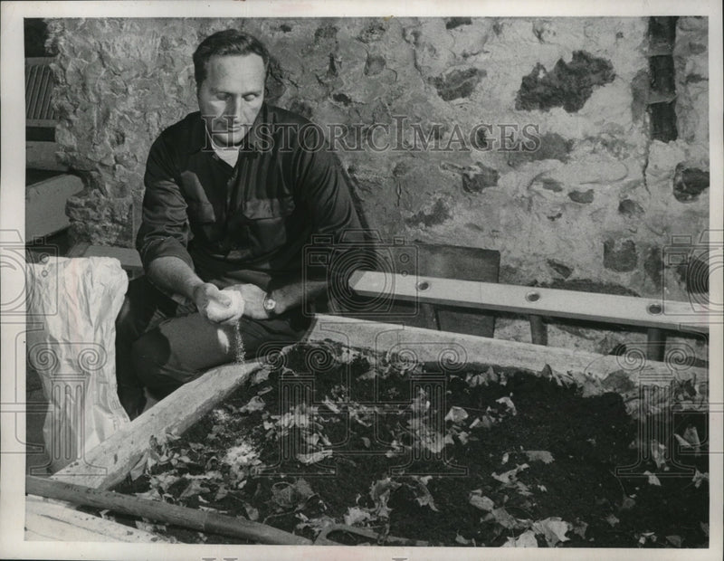 Load image into Gallery viewer, Press Photo Everett Trader Sr., Worm Farmer - nef54042
