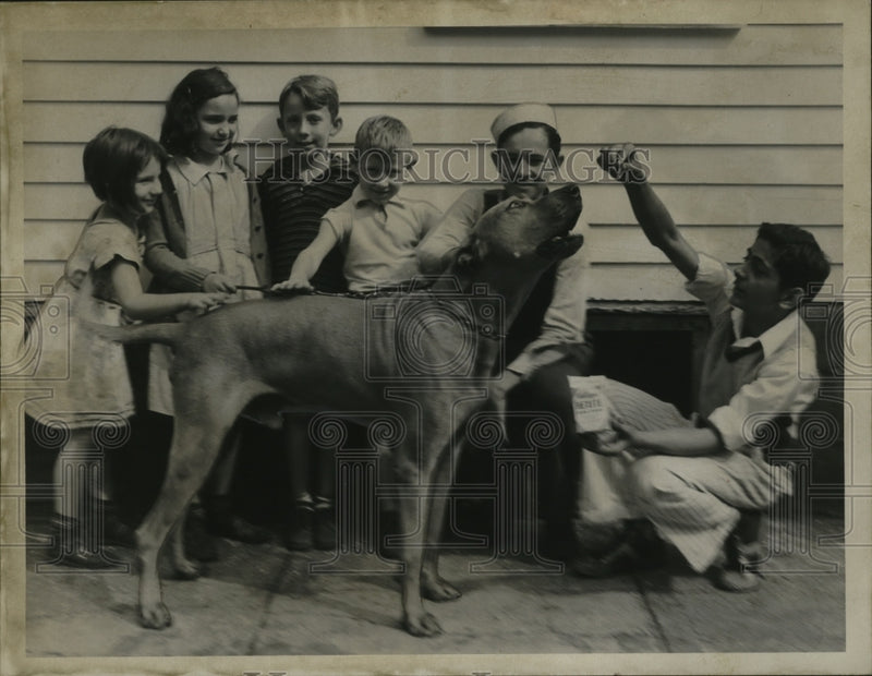 Load image into Gallery viewer, 1939 Press Photo Children Playing with Homeless Great Dane Dog - nef54046
