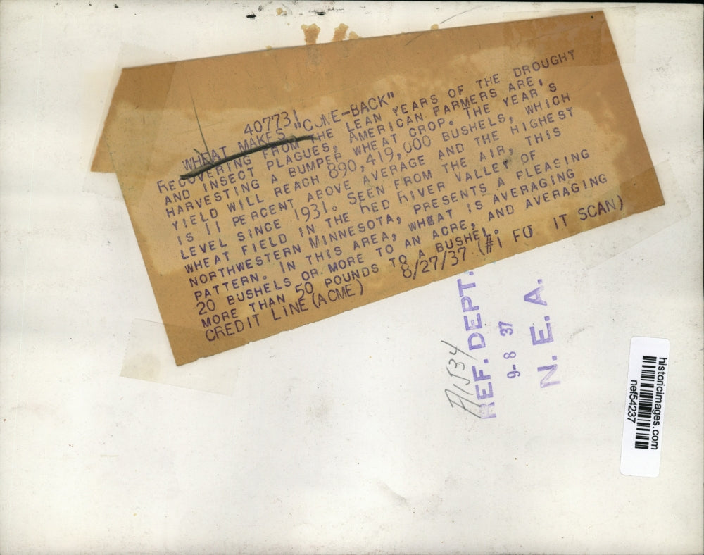 1937 Press Photo Wheat Field in Red River Valley, Northwestern Minnesota