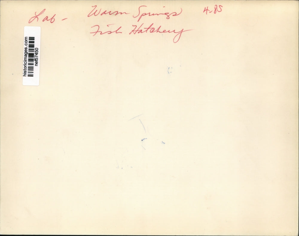 Press Photo Warm Springs Fish Hatchery - nef57450