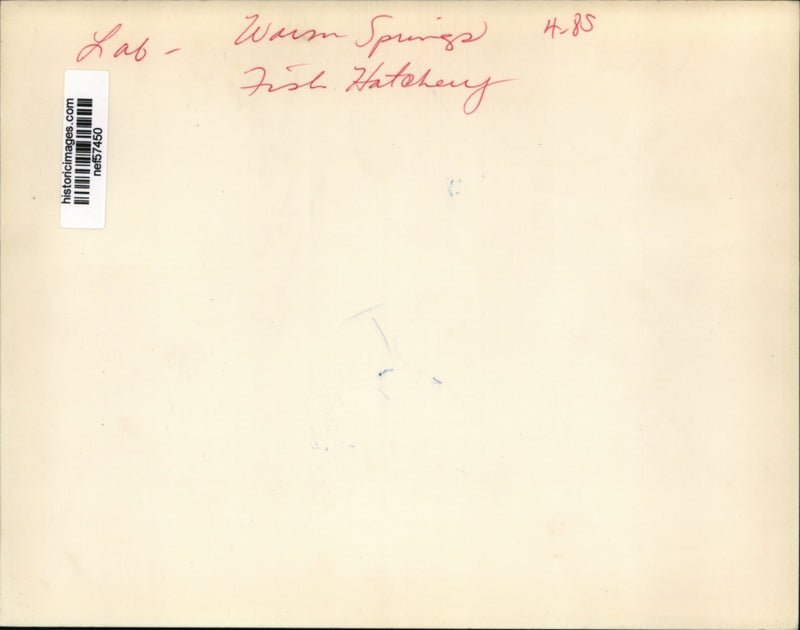 Load image into Gallery viewer, Press Photo Warm Springs Fish Hatchery - nef57450
