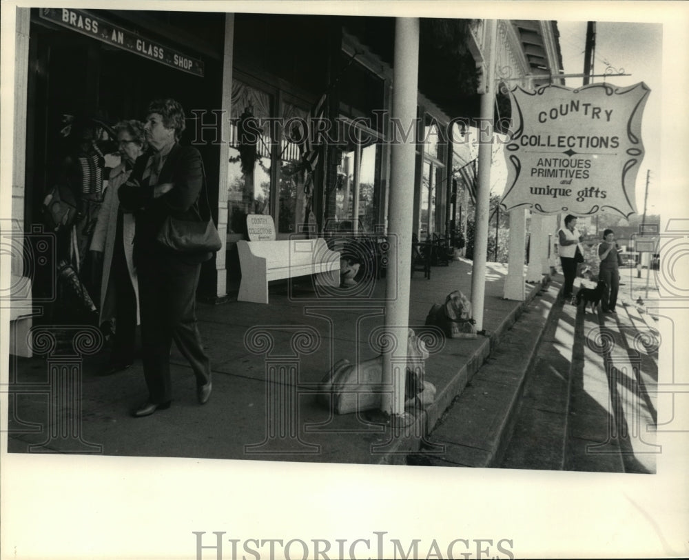 1981 Press Photo Storefronts of Warm Springs Village, Georgia - nef57616