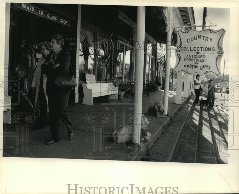 Load image into Gallery viewer, 1981 Press Photo Storefronts of Warm Springs Village, Georgia - nef57616
