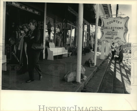 1981 Press Photo Storefronts of Warm Springs Village, Georgia - nef57616
