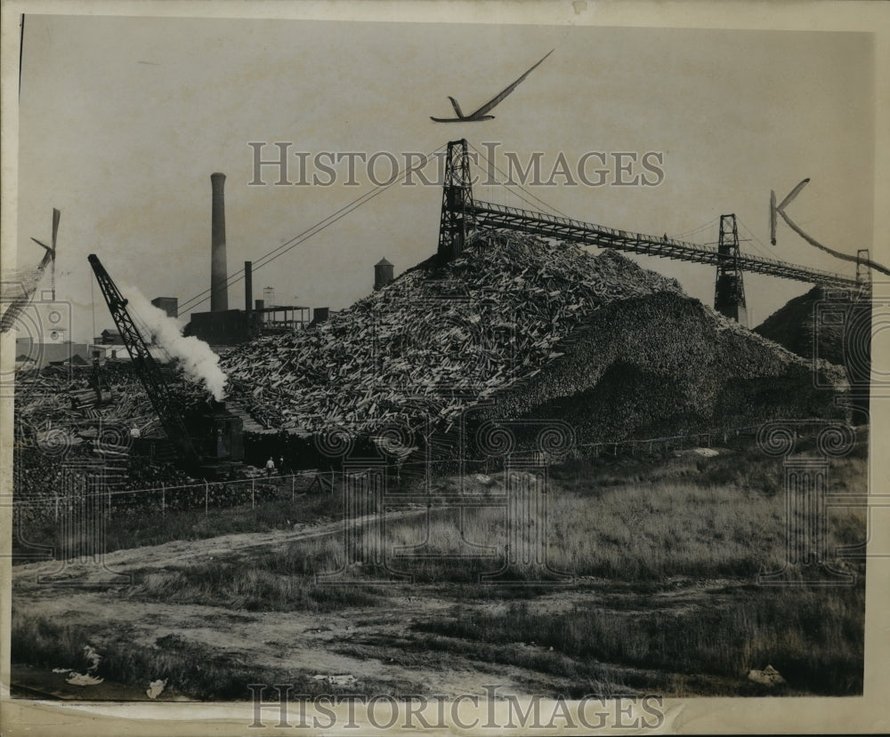 1953 Press Photo Wood Yard at Detroit Sulphite Pulp & Paper Company - nef57666