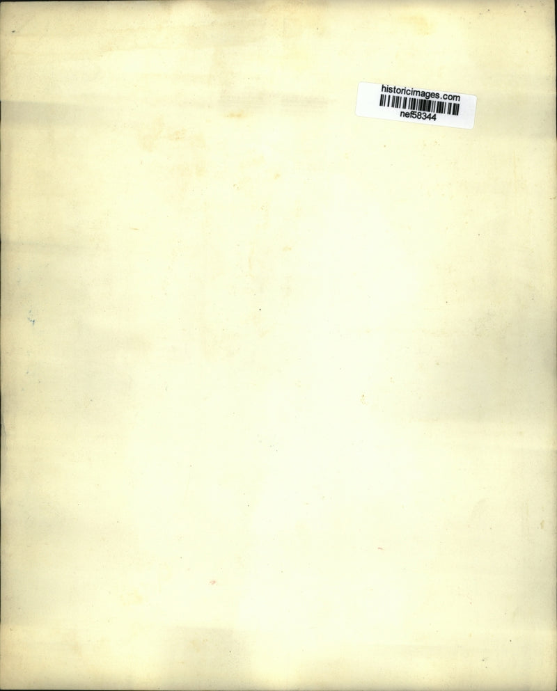 Load image into Gallery viewer, Undated Press Photo Painting - nef58344
