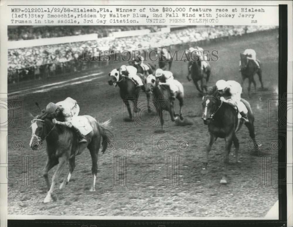1958 Press Photo Stay Smoochie winner in the Race at Hialeah Race Track