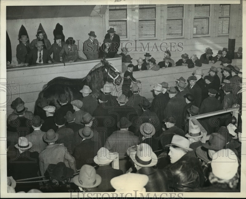 Load image into Gallery viewer, 1942 Press Photo Horses makes rounds at the Union Stockyards, Chicago
