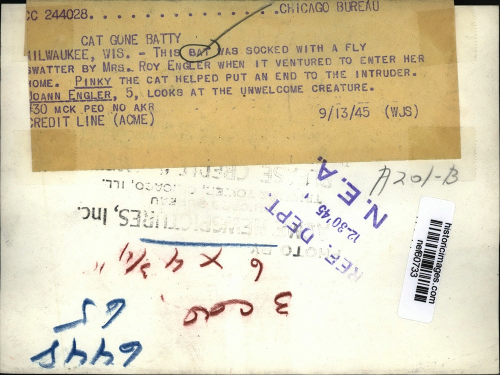 1945 Press Photo rs Roy Engler Socked Bat with Flay Swatter When it Entered Home