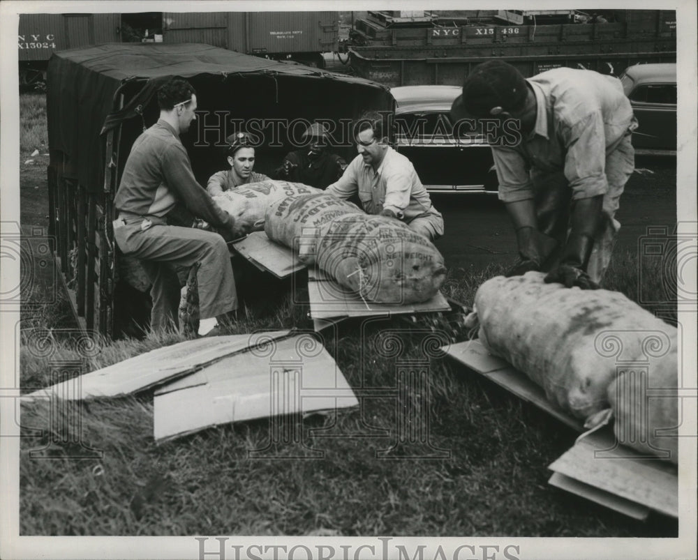 1946 Press Photo New York City Yards - nef62781