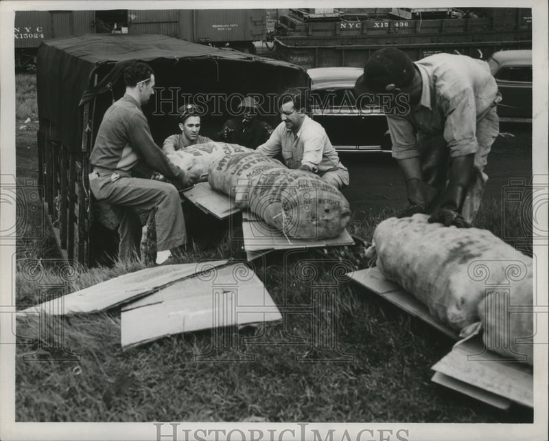 Load image into Gallery viewer, 1946 Press Photo New York City Yards - nef62781
