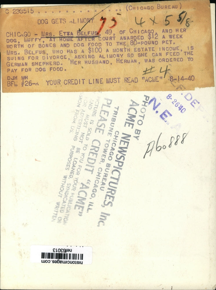 1940 Press Photo Etta Belfus & Dog Muffy After Winning Alimony, Chicago