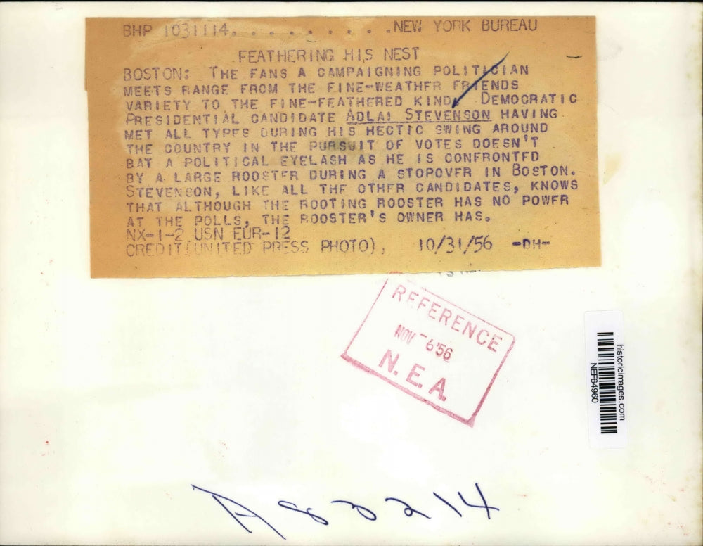 1956 Press Photo Adlai Stevenson Doesn't Bat an Eye When Confronted by Rooster