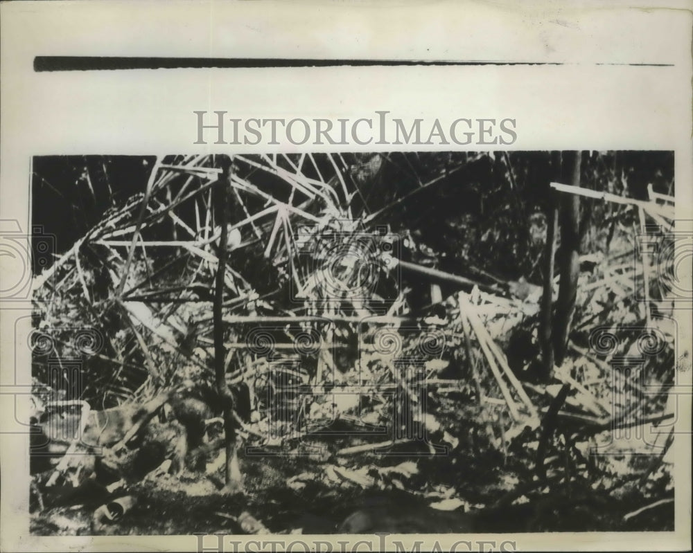 1934 Press Photo Hidden in Rugged Catskills for 40 Hours is Missing Air Liner