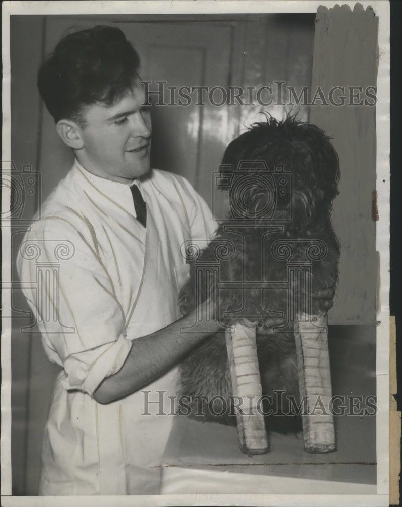 1934 Press Photo N.A Northrup Helps Rags with Two Broken Legs After Being Kicked