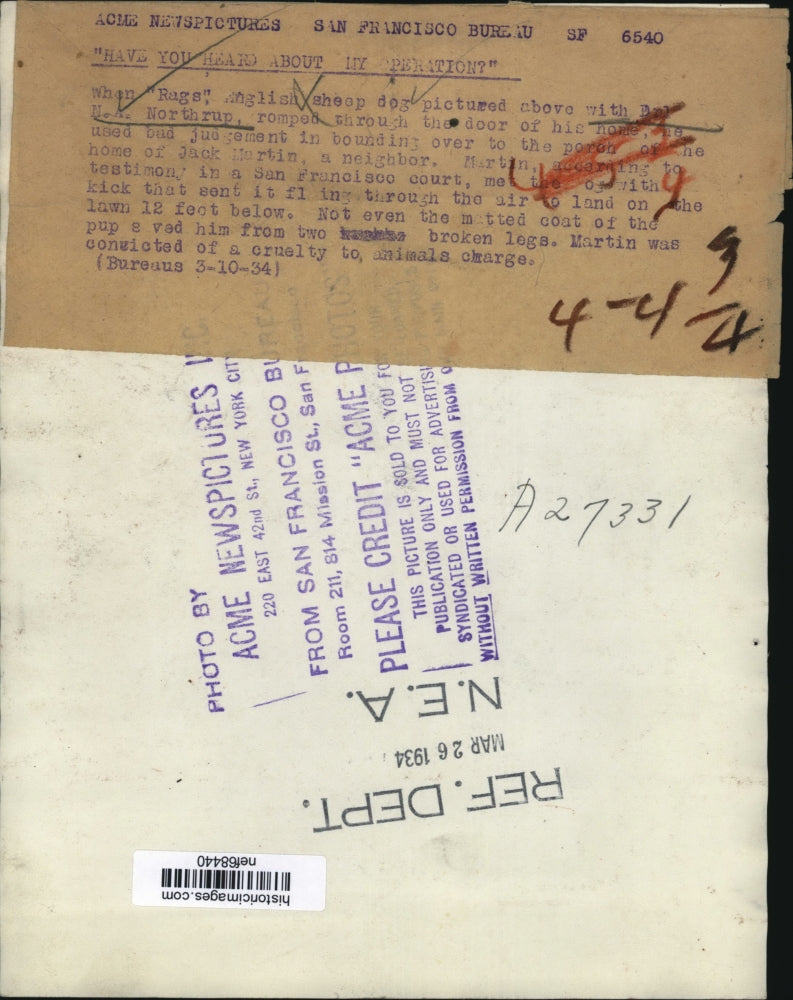 1934 Press Photo N.A Northrup Helps Rags with Two Broken Legs After Being Kicked