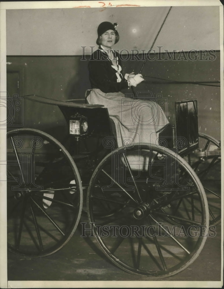 Load image into Gallery viewer, 1930 Press Photo Mrs.Paul Moore won the prize for Novice Pair of Harness Horses
