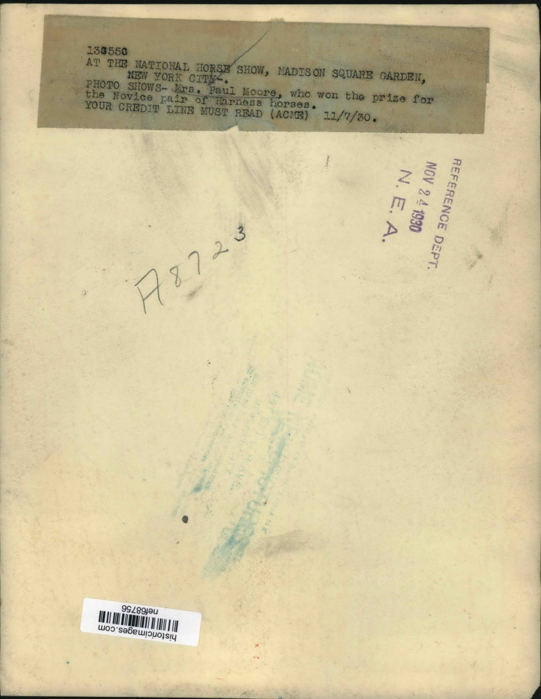 1930 Press Photo Mrs.Paul Moore won the prize for Novice Pair of Harness Horses