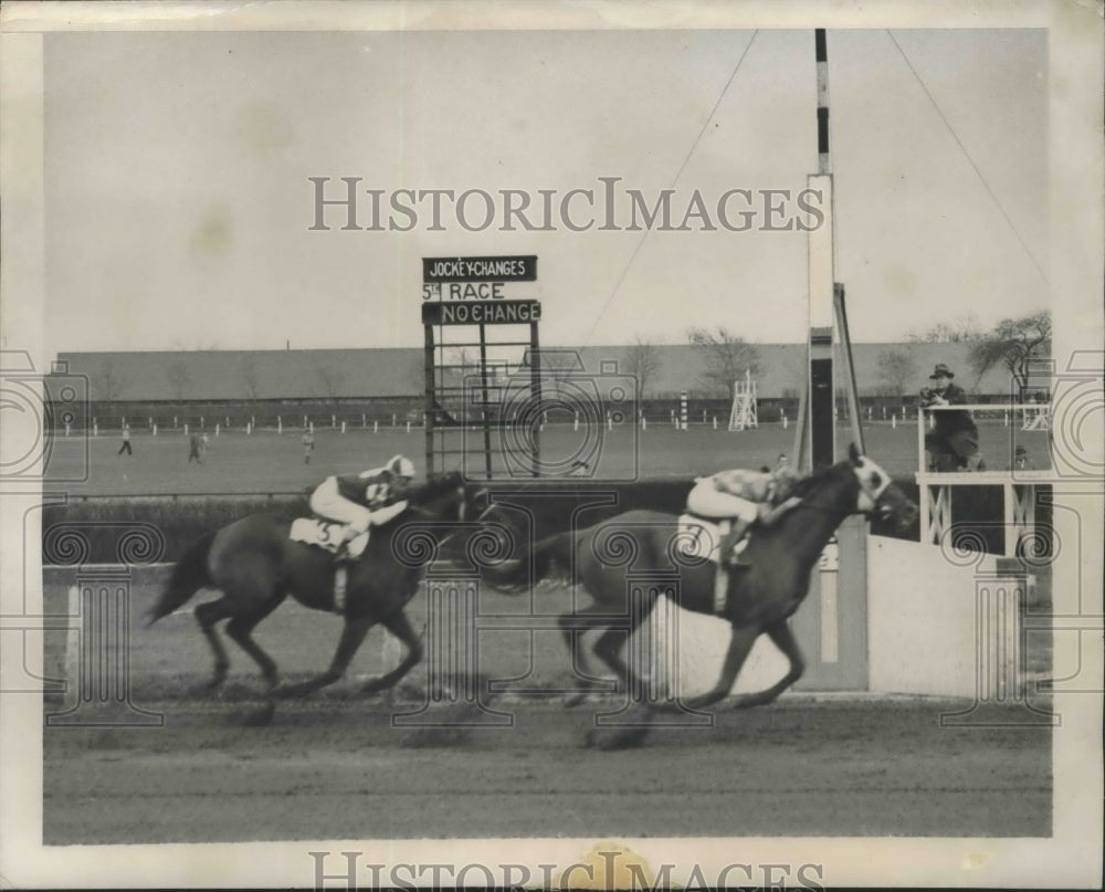 1948 Press Photo Fifth Race at Jamaica Race Track New York - nef69006