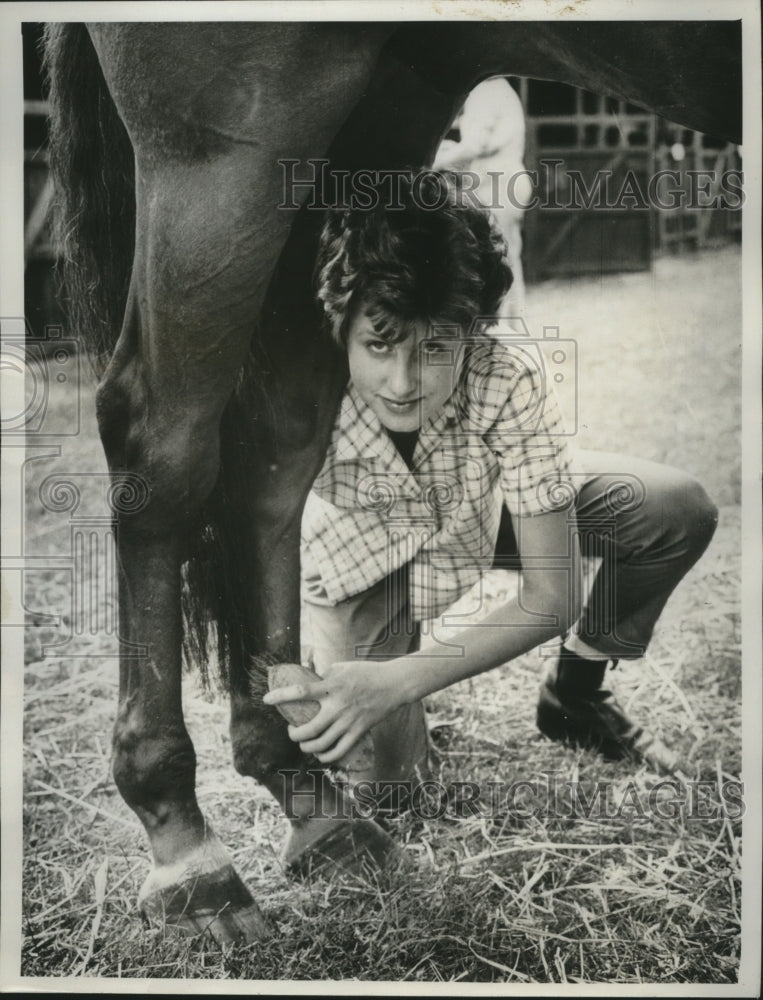 1961 Press Photo Moyra Owen Brushes The Fetlock Of Leo II - nef69458- Historic Images