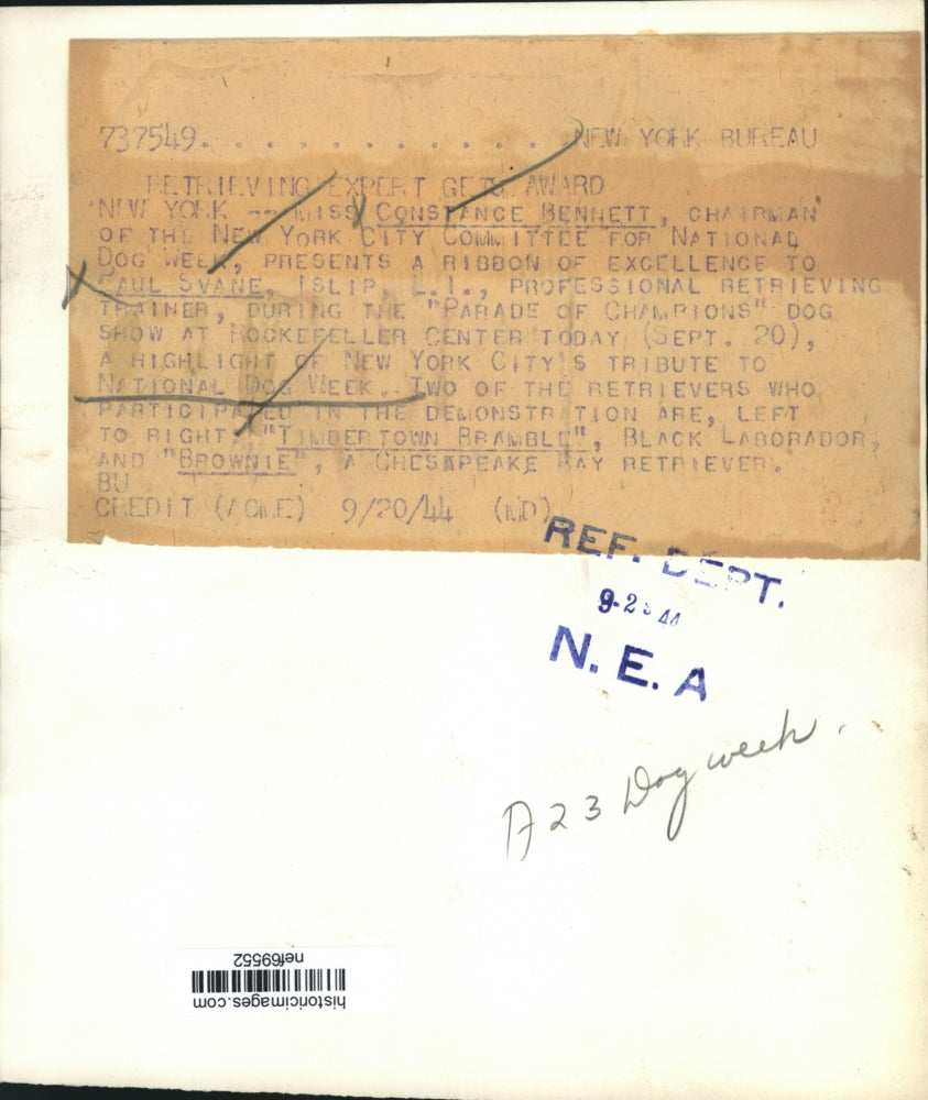 1944 Press Photo Constance Bennett Presents Paul Svane a Ribbon at Dog Show