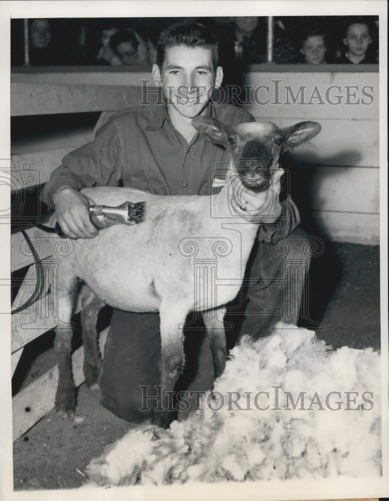 1949 Press Photo Clint Reeves wins the 4-H Sheep Shearing Competition in Chicago- Historic Images