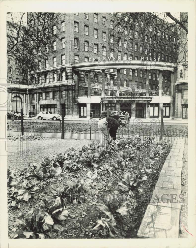 1948 Press Photo Miss Anne Buller works a small allotment of land in Hyde Park- Historic Images