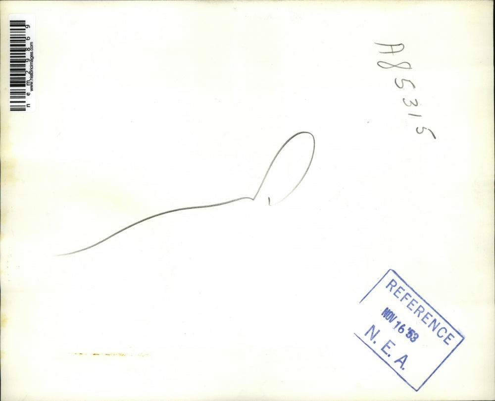 1953 Press Photo Durant, Okla Nurse Mrs JV Thrasher, Mr & Mrs Stammer