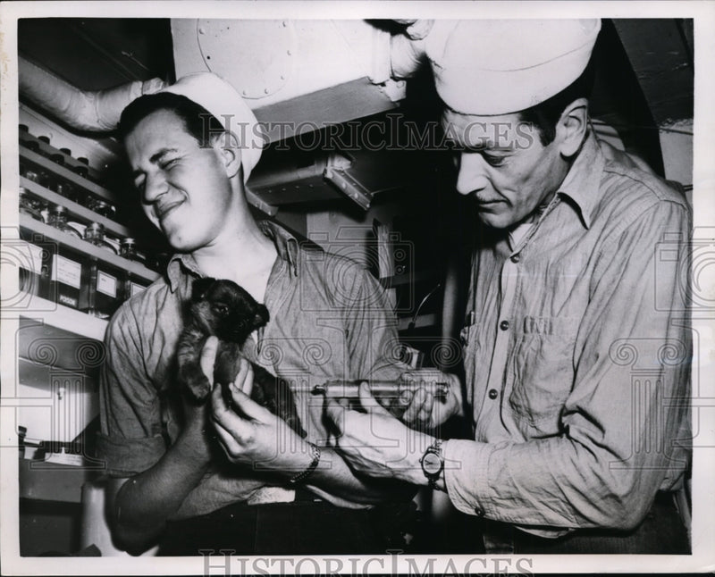 Load image into Gallery viewer, 1951 Press Photo Seaman Thomas and Gerald Magle Giving Japanese Puppy Shots
