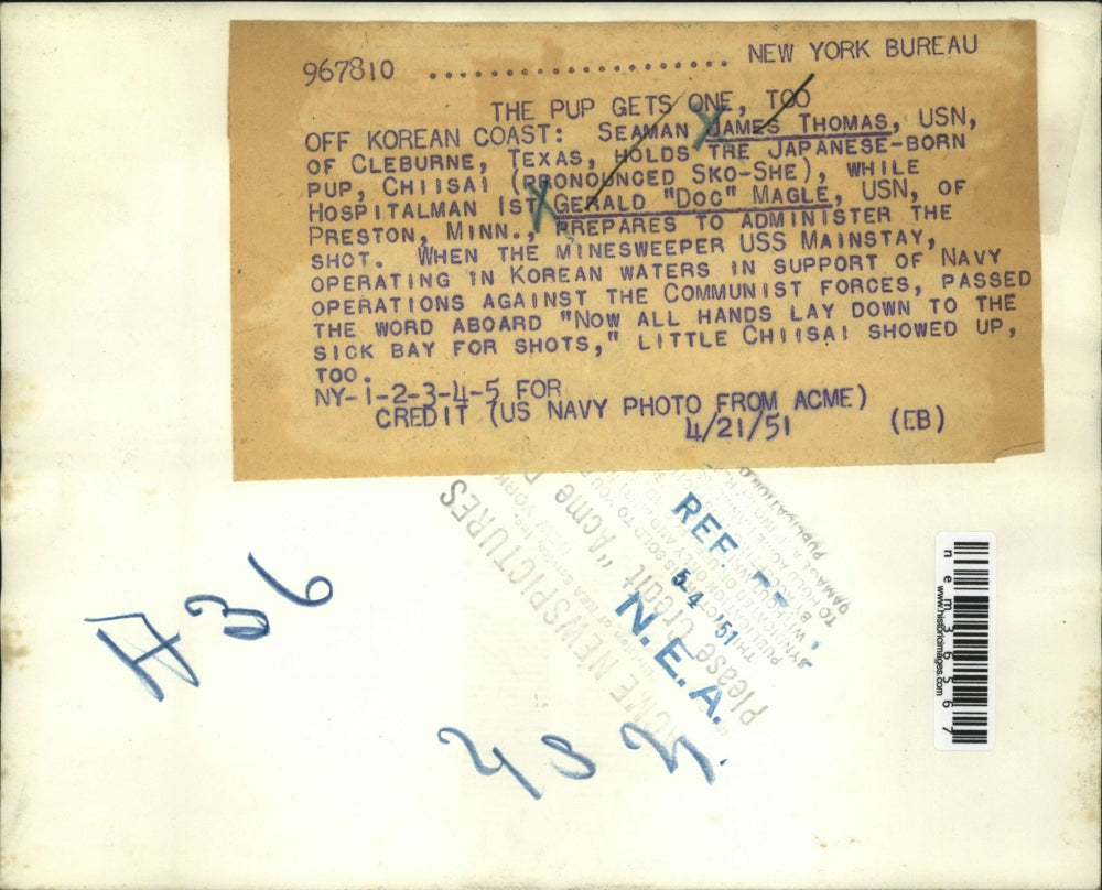 1951 Press Photo Seaman Thomas and Gerald Magle Giving Japanese Puppy Shots