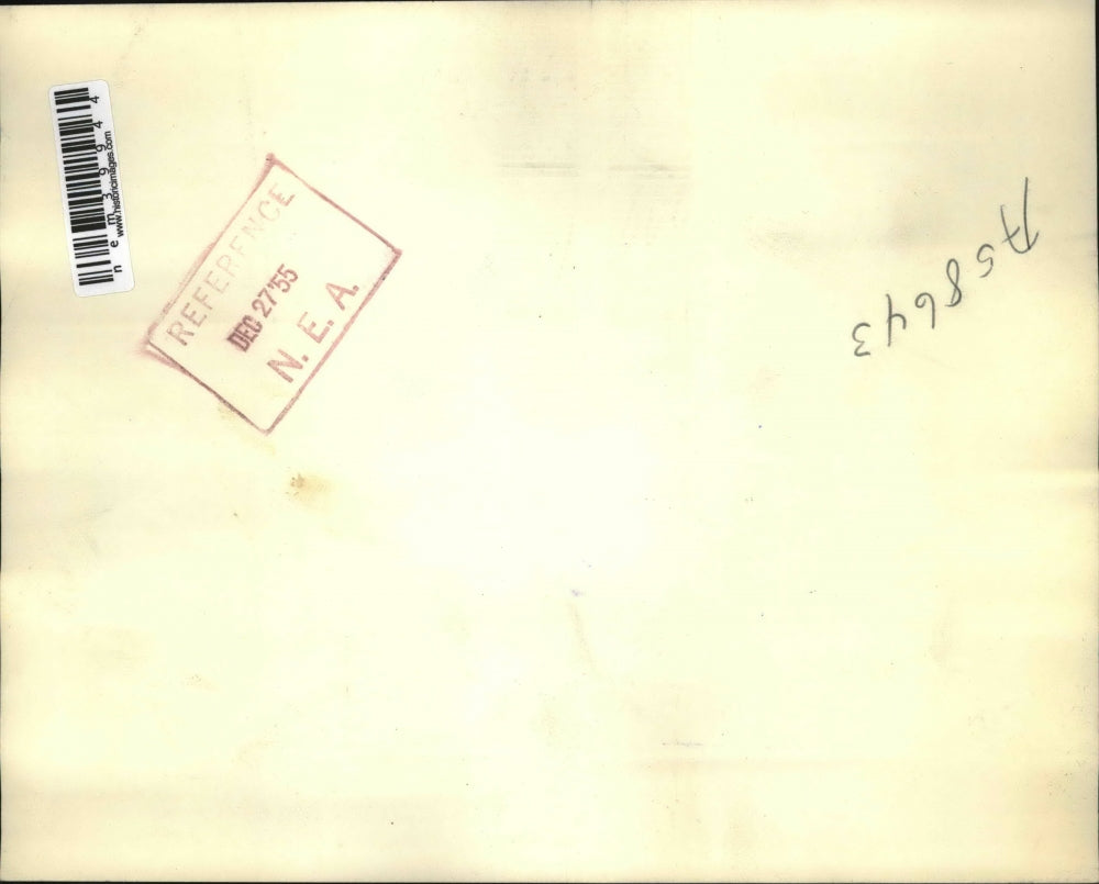 1955 Press Photo Syrian Camel Corps in Parade - nem39944