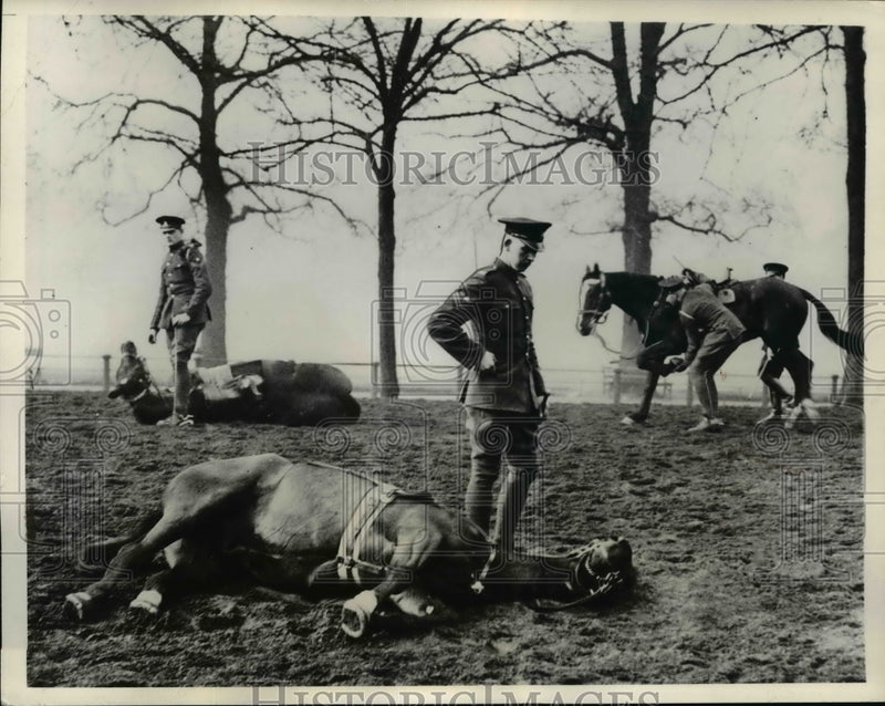 Load image into Gallery viewer, 1934 Press Photo Royal Horse Guards rehearse at Hyde Park London - nem41358
