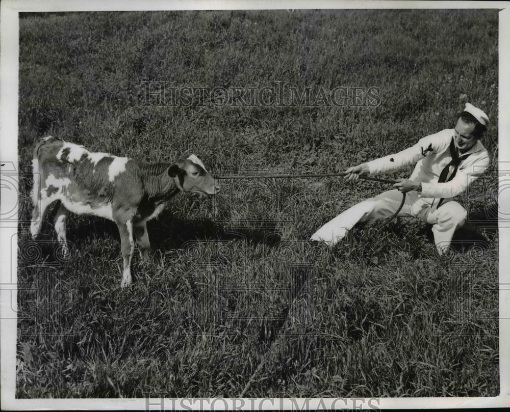 1943 Press Photo Mike Lopez learns the details of bulldozing as he pulls a calf- Historic Images