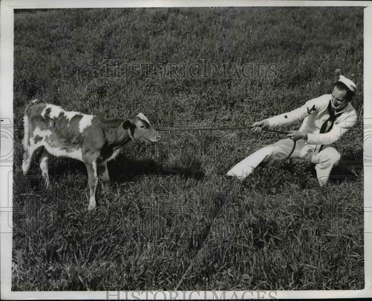 1943 Press Photo Mike Lopez learns the details of bulldozing as he pulls a calf- Historic Images