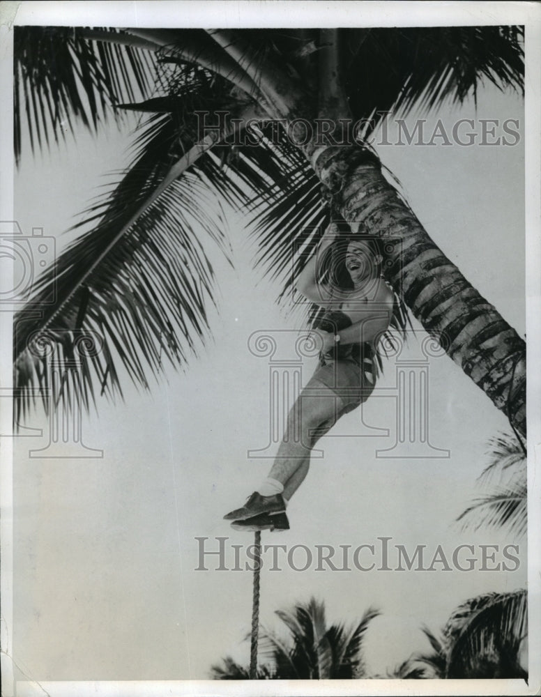 1943 Press Photo Thomas Daniels Jr. on a Palm tree at a South Pacific Base- Historic Images