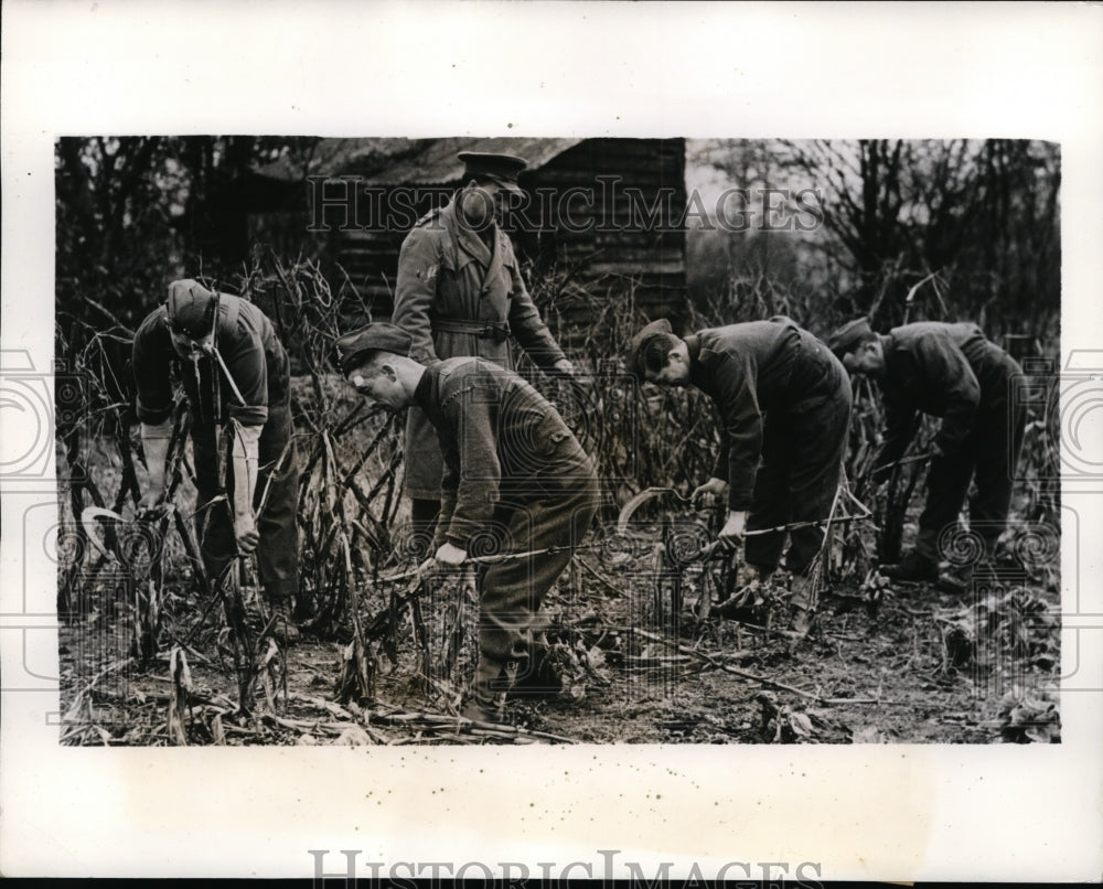 1941 Press Photo British soldiers clear the ground in preparation for planting