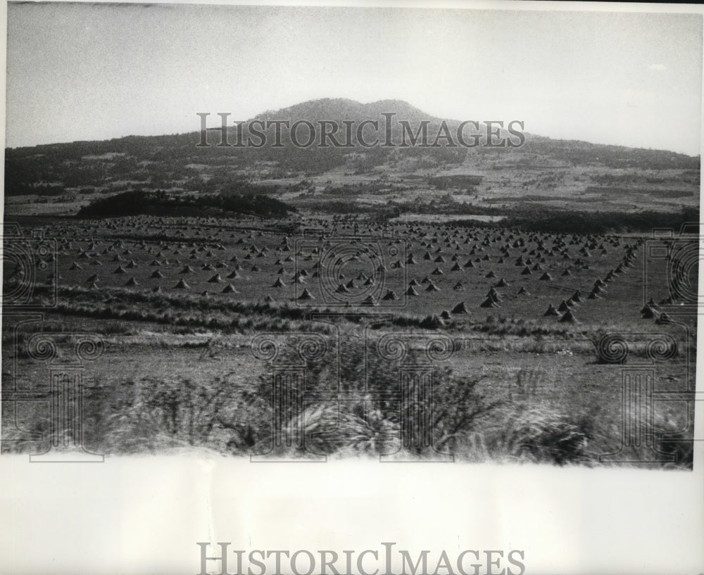 1970 Press Photo Rolling Mountains are Sights to be Enjoyed by Mexican Rail Ride