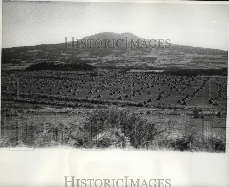 Load image into Gallery viewer, 1970 Press Photo Rolling Mountains are Sights to be Enjoyed by Mexican Rail Ride
