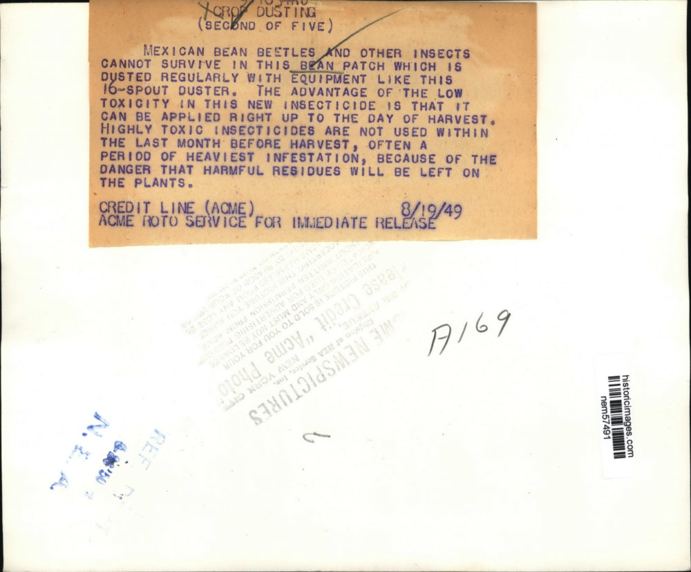 1949 Press Photo Insects Cant Survive in Bean Patch Dusted with 16-Spout Duster