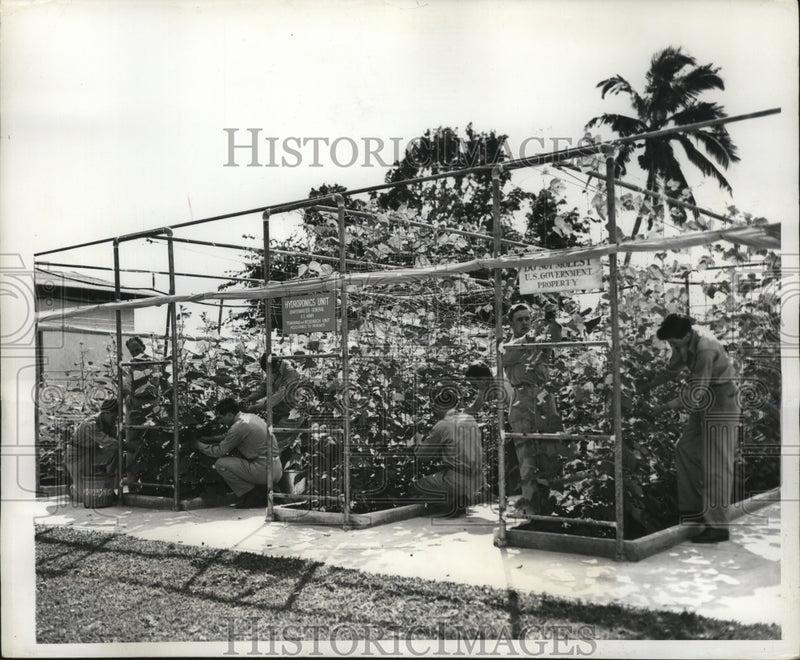 Load image into Gallery viewer, 1947 Press Photo U.S. Army's Hydroponics Unit headed by Robert Luckhardt
