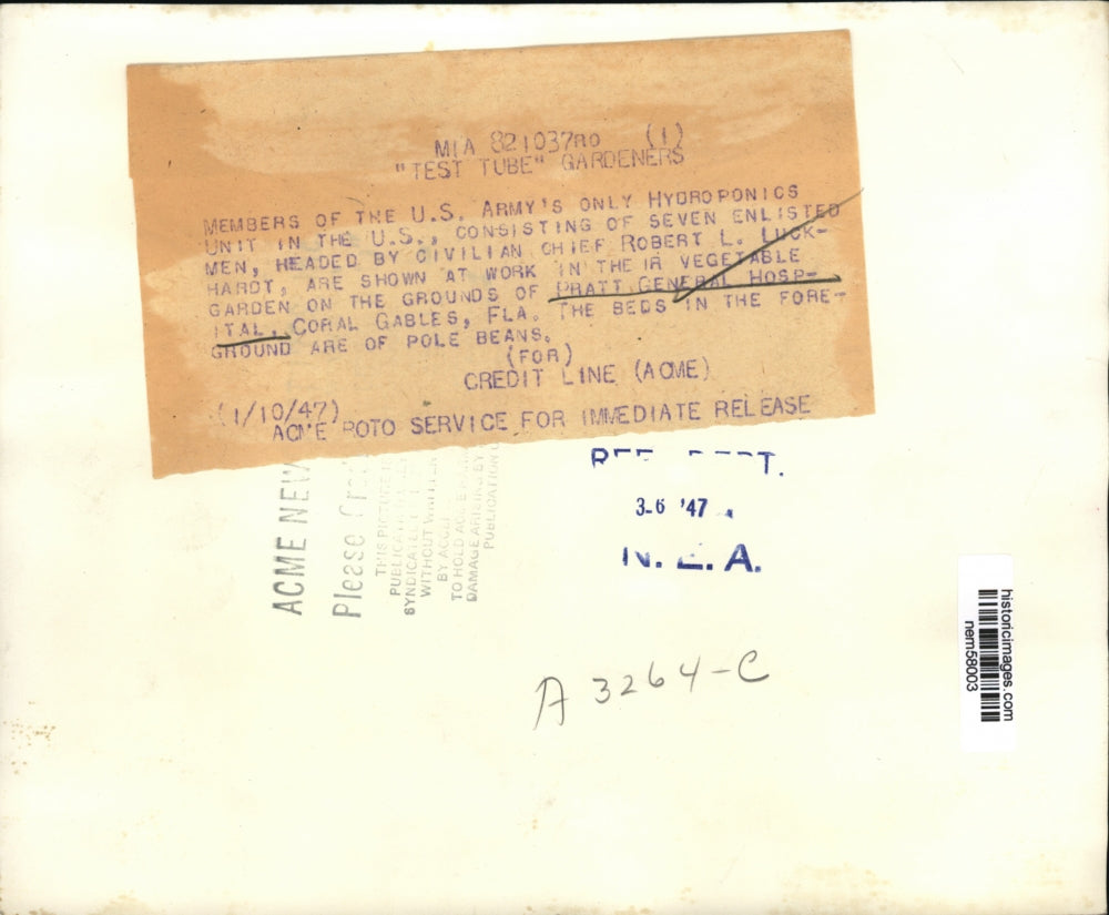 1947 Press Photo U.S. Army's Hydroponics Unit headed by Robert Luckhardt