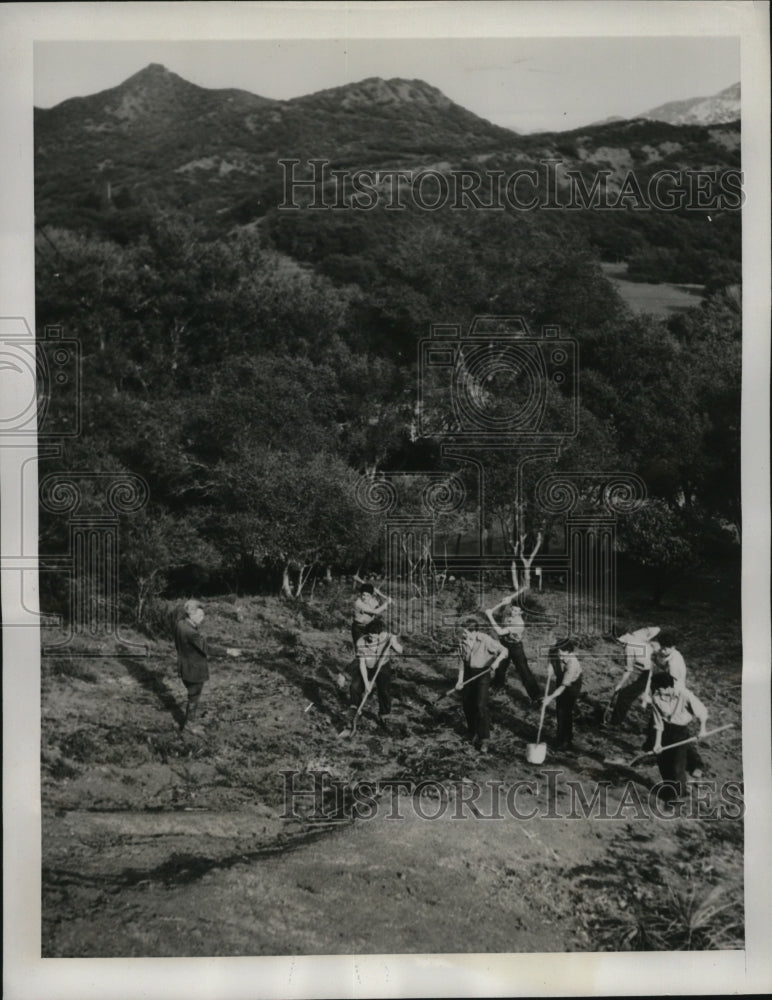 1941 Press Photo Juvenile Delinquents do farming in experimental camp-California