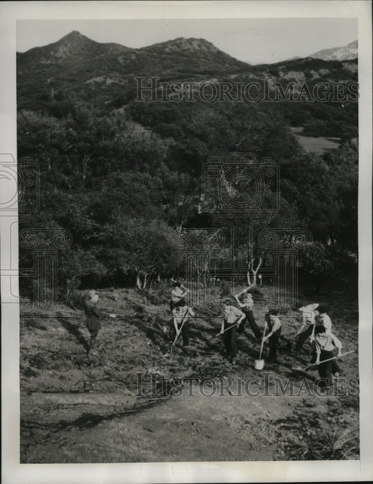 1941 Press Photo Juvenile Delinquents do farming in experimental camp-California